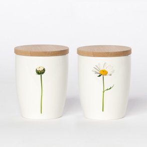 Krus med Bambusl�g, Marguerit, 24 cl.