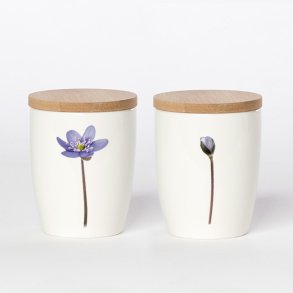 Krus med Bambusl�g, Bl� Anemone, 24 cl.