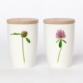 Krus med Bambusl�g, R�dkl�ver, 36 cl.