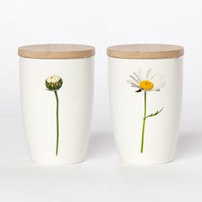 Krus med Bambuslg, Marguerit, 36 cl.