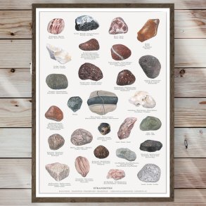 Plakat - Strandsten- Strrelse A2 (nr. 35)