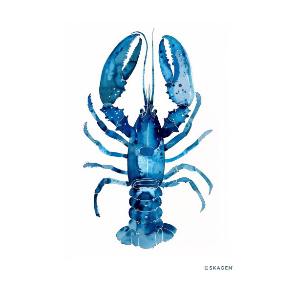 Plakat - Bl Hummer