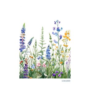 Plakat - Markblomster