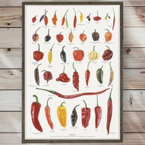 Plakat - Chili- Strrelse A2 (nr. 52)