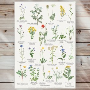 Plakat - Grftekanten - Strrelse A2 (nr. 24)