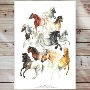 Plakat - Horselife - Strrelse A2 (nr. 51)