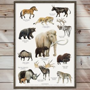 Plakat - Istidsdyr - Strrelse A2 (nr. 37)