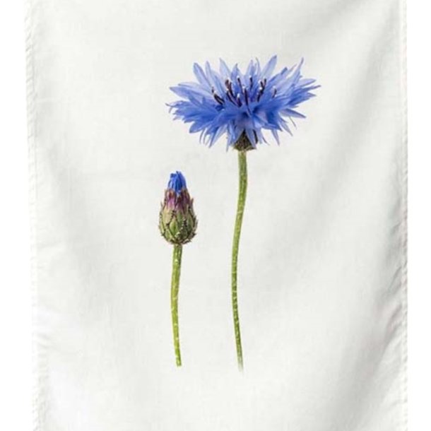 Viskestykke, Kornblomst, 50x70 cm.