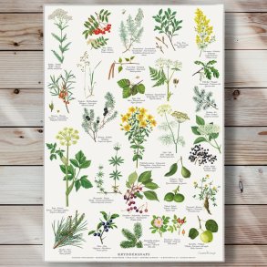 Plakat - Kryddersnaps - Strrelse A2 (nr. 32)