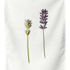 Viskestykke, Lavendel, 50x70 cm.