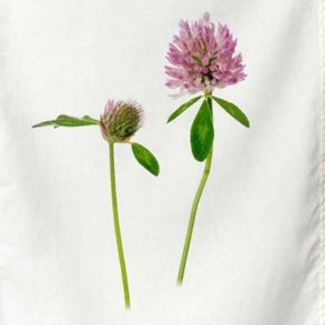 Viskestykke, Rdklver, 50x70 cm.