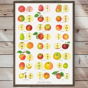 Plakat - Smagfulde bler - Strrelse A2 (nr. 34)