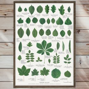 Plakat - Trernes Blade - Strrelse A2 (nr. 40)