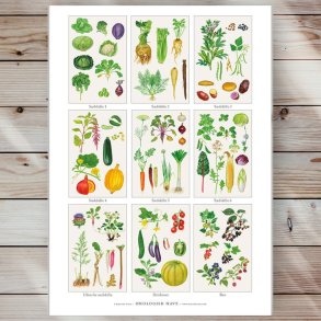 Plakat - kologisk Have - Strrelse A2 (nr. 28)