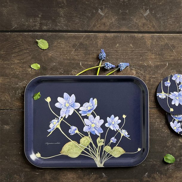 Bakke, Bl Anemone, 20x27cm