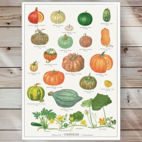 Plakat - Grskar - Strrelse A2 (nr. 46)