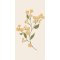 Servietter gul blomst 16 stk pr pakke, B: 40 L: 40, Ib Laursen