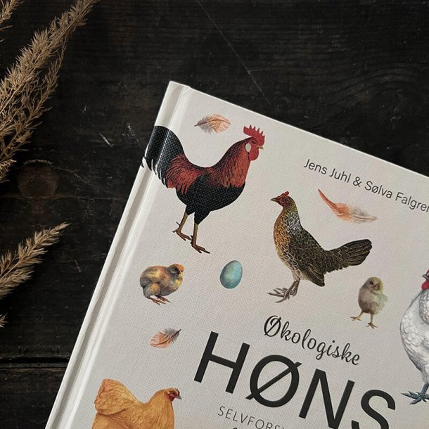 BOG: kologiske hns, Koustrup