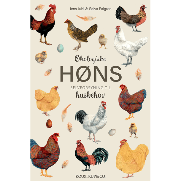 BOG: kologiske hns, Koustrup