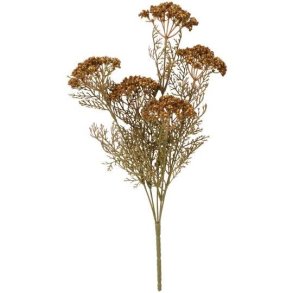 Blomsterstilk brun 5 sk�rmblomster