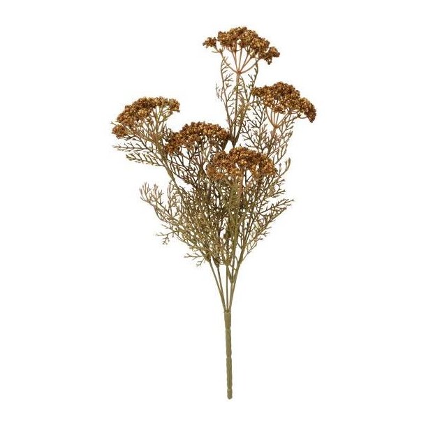 Blomsterstilk brun 5 sk�rmblomster