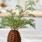 Vase kogle