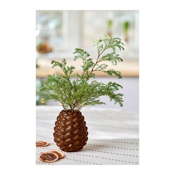 Vase kogle