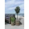 Kurve, �rhus, kubu rattan, natur, s�t af 2 bySKAGEN