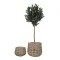 Kurve, S�by, kubu rattan, natur s�t af 2, bySKAGEN