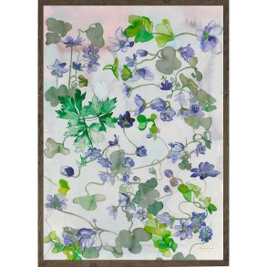 Plakat, Blue Anemone, Symphony, Kunstprint, 50x70cm