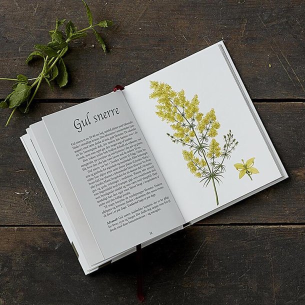 Bog, Kryddersnaps, Velsmag p flasker, Koustrup