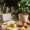 Stofserviet Summer Vibes m/broderi af citron, butter cream, B: 40 L: 40cm, Ib Laursen