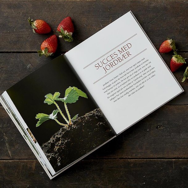 Bog, Smagen af jordbr