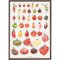 Plakat, Tomater, A2 ( 3 )