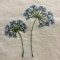 Viskestykke Flora, m/broderi af bl� sk�rmblomst butter cream, B: 50 L: 70cm, Ib Laursen