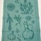 Viskestykke, Roots, Gr�n, 50x70cm, Bomuld, Lasa
